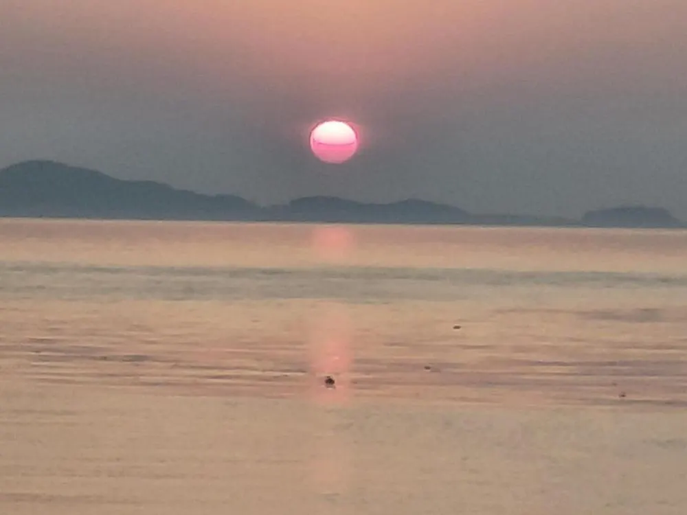 Sunet Garden カンファ ゲストハウス